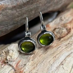 Silpada Daintree Earrings